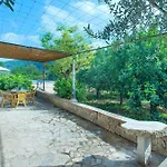 Owl Booking Villa Sedes - Dive Into Nature