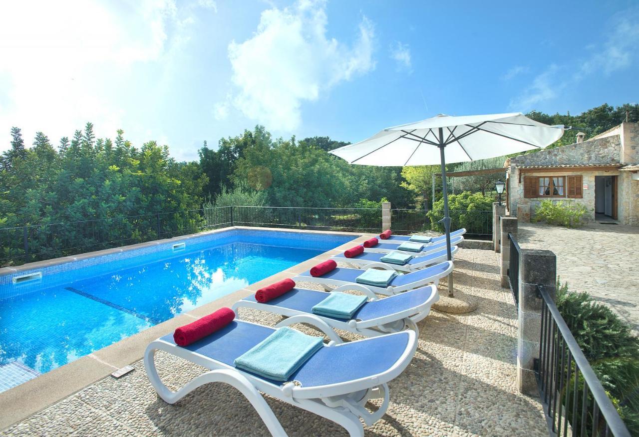 Villa Owl Sedes - Dive Into Nature